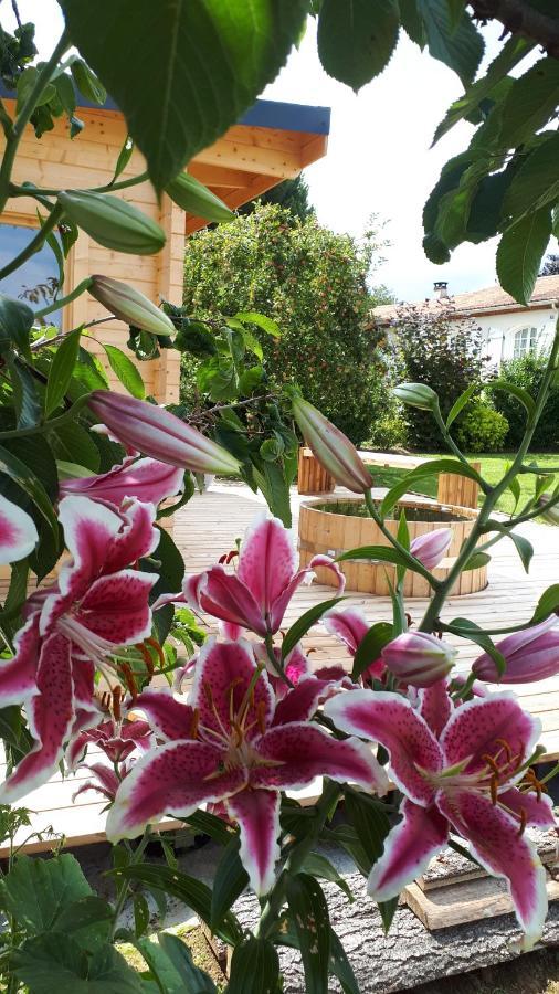 Gite "Le Mesminois" Etablissement Avec Espace Bien-Etre Et Sauna Saint-Mesmin  Exterior foto
